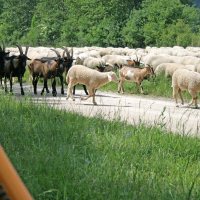 Altmühl onderweg